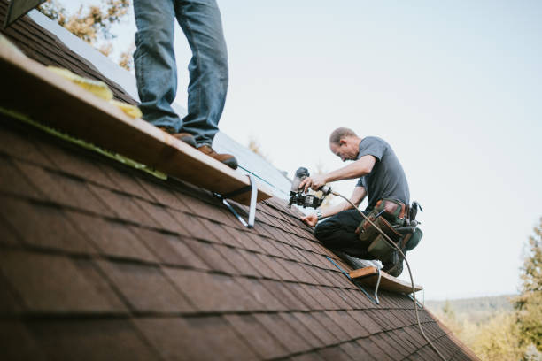 Quick and Trustworthy Emergency Roof Repair Services in Altoona, PA